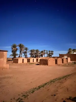 a desert with houses and palm trees in the background at Hammadi Camp in Mhamid
