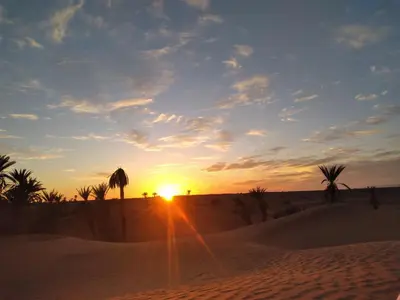 a sunset in the desert with palm trees and sand at Hammadi Camp in Mhamid