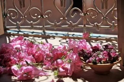 a bunch of pink flowers sitting on a bed at Kasbah Alami in Kalaat MGouna