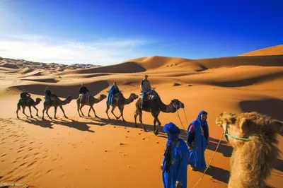 a group of people riding camels in the desert at Fabulos Merzouga Luxury Camp in Hassilabied