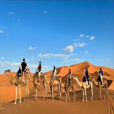 a group of people riding on camels in the desert at Golden Sahara camp in Merzouga