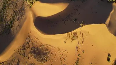 an aerial view of a desert with trees at Touaregs Camp Erg Lihoudi in Mhamid