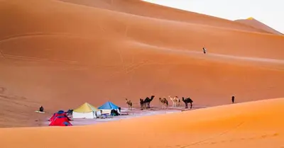 a group of camels and tents in the desert at Private Wild Tent Experience M'Hamid in Mhamid