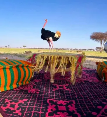 a woman standing on top of a table at Private Wild Tent Experience M'Hamid in Mhamid