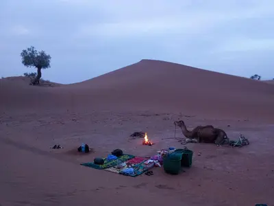 a camel laying in the desert with a fire at Private Wild Tent Experience M'Hamid in Mhamid
