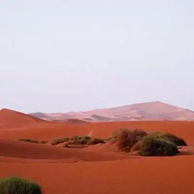 Private Wild Tent Experience M'Hamid