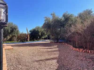 a gravel driveway with trees and a street at Sandy farm in Ouled el guerne