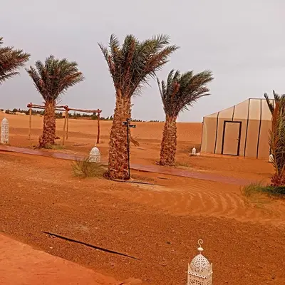 a group of palm trees and a building in the desert at Merzouga morocco in Tisserdmine