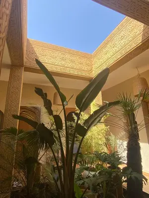 a plant in a room with a ceiling at Villa les Portes de l'Atlas - MARRAKECH in Marrakech