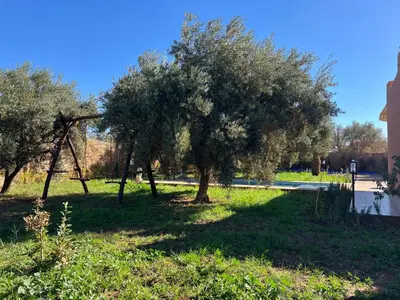a park with trees and a swing set in the grass at Villa SANDI in Ouled el guerne