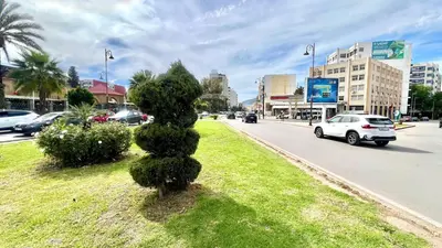 a bush shaped like a number eight on a city street at Luxury appartement centre ville fes in Fès