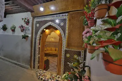 an entrance to a room with potted plants on the wall at Dar derb el miter in Fès