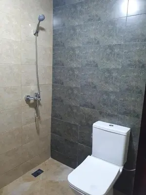 a bathroom with a toilet and a shower at Dar diafa 2 in Imouzzer Kandar