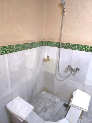 a bathroom with a shower with a toilet and a sink at Riad Fes Bab Rcif Suite &Spa in Fès