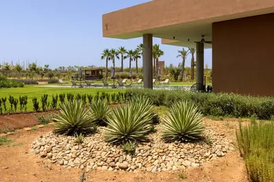 a group of plants in a yard next to a building at Villa Dar Tillili Marrakech in Heddad