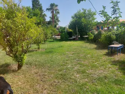 a yard with trees and a table in the grass at Ferme Amzrou in Had Abdallah Rhiat