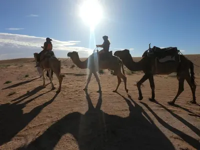 a group of people riding camels in the desert at Sahara Dream Camp in Oulad Hammou
