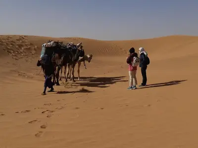 a group of people and a group of camels in the desert at Sahara Dream Camp in Oulad Hammou