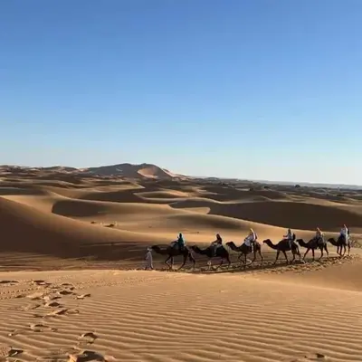 jumeirah standard camp merzoug