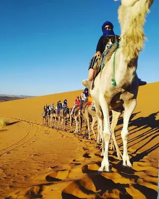 a group of people riding horses in the desert at Gnaoua Luxury Camp in Merzouga