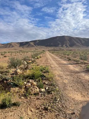 a dirt road in the desert with mountains in the background at Olecactus in Gourrama
