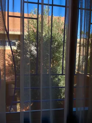 a window with a view of a tree at Dyafat Abla in Ouarzazate