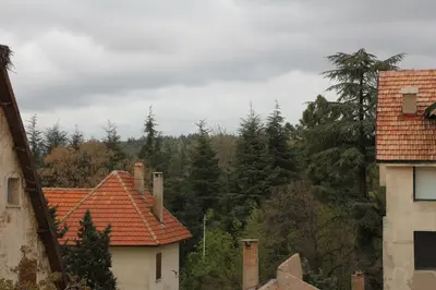 a group of houses with trees in the background at appartement amira ifrane in Ifrane