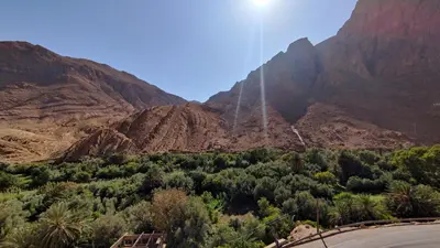 a view of a mountain with trees and a road at Riad La Fleur in Aït Baha