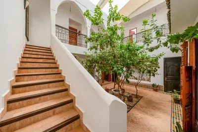 a staircase in a house with a tree at Riad du Bab atlas in Marrakech