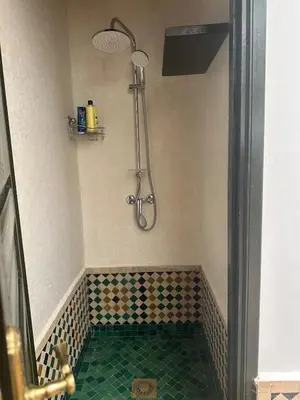 a shower in a bathroom with a green tile floor at Riad du Bab atlas in Marrakech