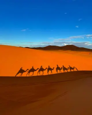 Gallery image of Safari Desert Camp in Merzouga