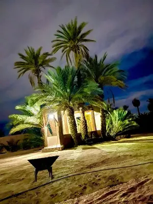 a bench on the beach with palm trees in the background at auberge Tenere in Mhamid