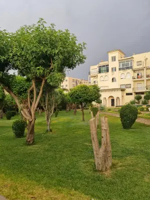 a park with trees and a building in the background at Fes Magic Apartment - With Swimming pool in Fès