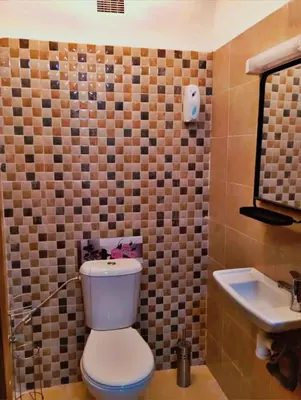 a bathroom with a toilet and a sink at Gîte du lac chez bennouri in Telouet