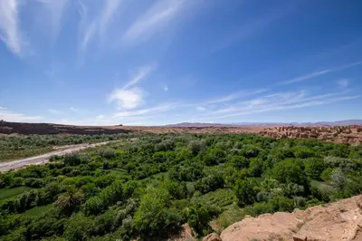 an aerial view of a forest of trees and a road at Kasbah Tasseurte in Kalaat MGouna