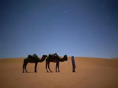 a man standing in the desert with two camels at Merzouga Camp & 4x4 Transfeer Include in Merzouga