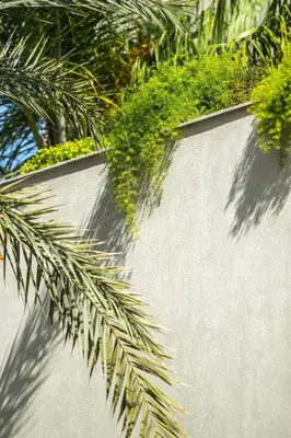 a concrete wall with plants on top of it at Villa Stella! Élégante & piscine sans vis à vis in Marrakech