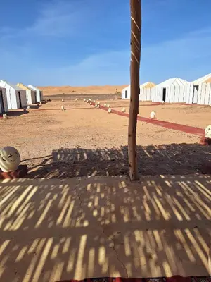 a palm tree in the middle of a desert at Infinity Camp Morocco in Mfis