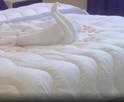 two white swans on top of a bed at Belle vue Belle situation in Ifrane