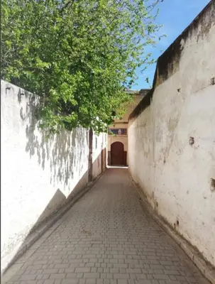 an empty alley with a tree on the side of a wall at Appartement privé Medina in Fès