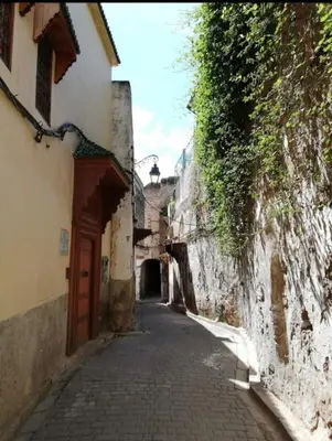 an alley in an old town with a building and a door at Appartement privé Medina in Fès