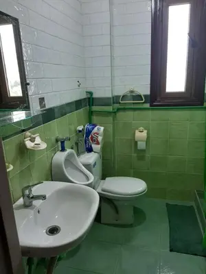 a bathroom with a toilet and a sink at Appartement Fascinant à Meknès in Meknès