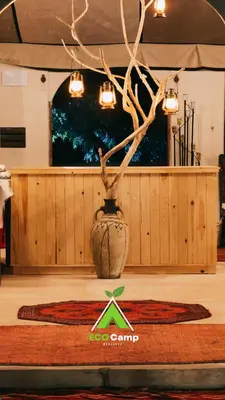 a vase with a tree in a room with a rug at Eco Desert Camp in Merzouga