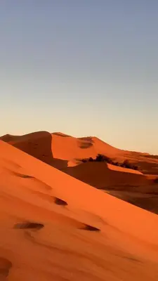 a sand dune in the desert at sunset at Sahara 4Seasons Appartement in Merzouga