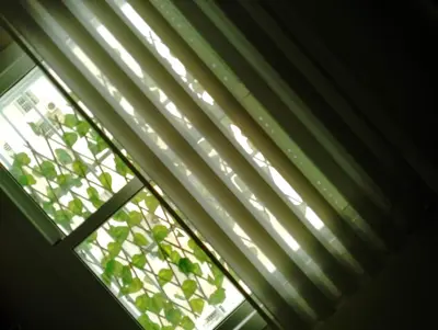 a window with blinds and a plant at Appartement lux in Fès
