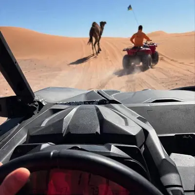a person driving a vehicle with a dog on a desert at Spectacular Luxury Camp in Merzouga