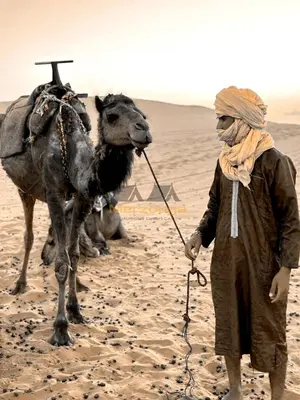 a man with a camel in the desert at Merzouga Chic Luxury Camps in Merzouga
