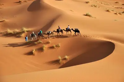 a group of people riding horses in the desert at Erg Chebbi Desert Glamping in Merzouga