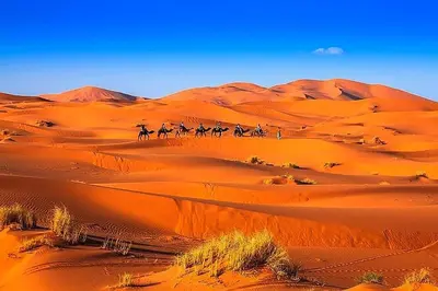 a group of people riding horses through the desert at Erg Chebbi Desert Glamping in Merzouga