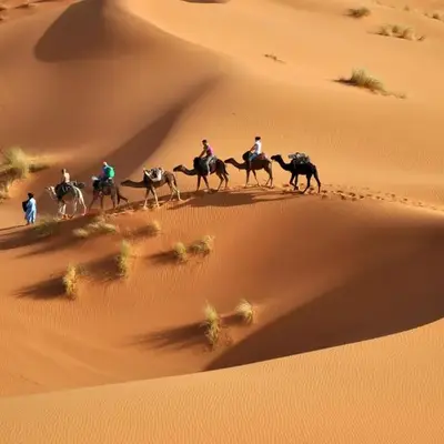 Erg Chebbi Desert Glamping